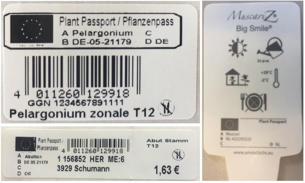 Neue Anforderungen an den Pflanzenpass - Landgard Neuigkeiten